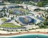 Олимпийский стадион в Сочи (47 659 зрителей) - этому стадиону предстоит принимать XXII Зимние Олимпийские игры в 2014 г.